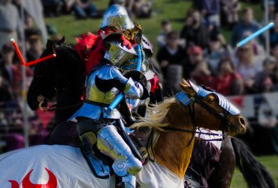 Jousters Flighting