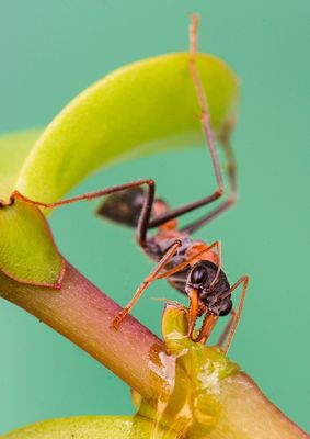 Eating