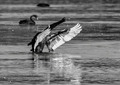 Early Morning Stretch