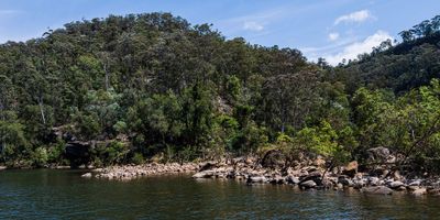 Upper Nepean River Foreshore