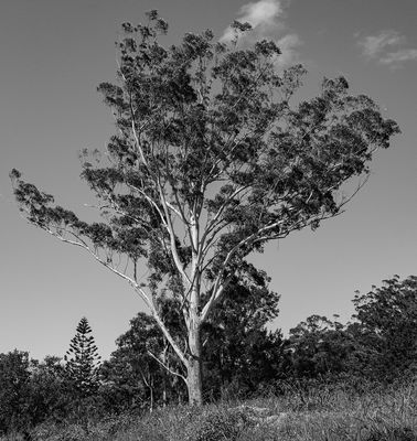 Standing Alone