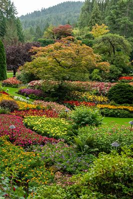 Butchart Gardens