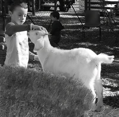 Making Friends