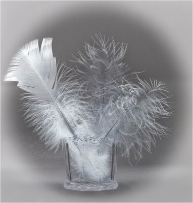 Feathers