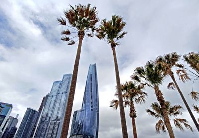 Crown and Palms
