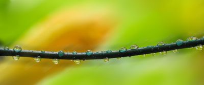 Motion and Motionless