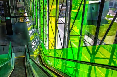 Green & Gold