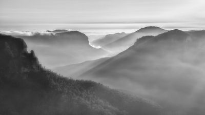 Foggy Sunrise*Merit*