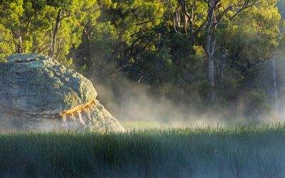 .Steam Fog at Sunrise