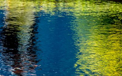 Autumn Reflection