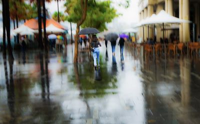 In the Rain