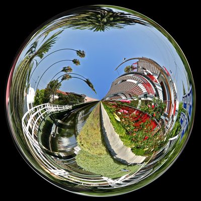 Palms Mirrorball