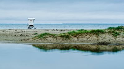 Seven Mile Beach*Merit*