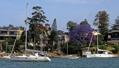 Boats Taking a Rest