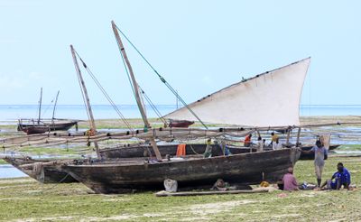 Boats in Zanzba