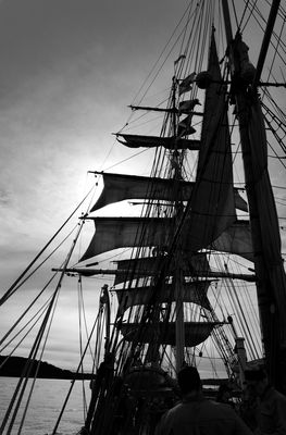 James Craig in Silhouette