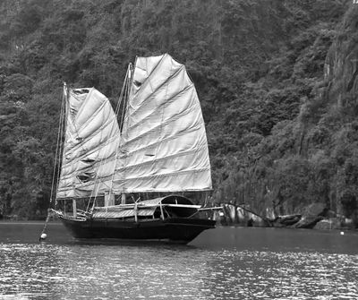 White Sails