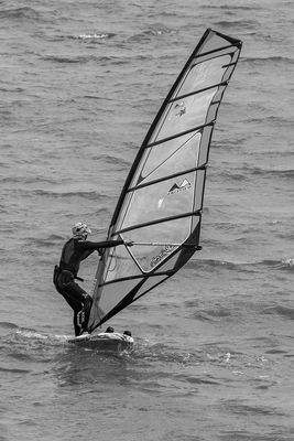 June 2025 'A' Grade Monochrome
