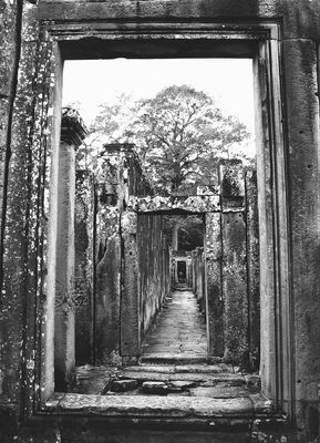.Along the Path