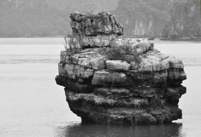Duck Rock