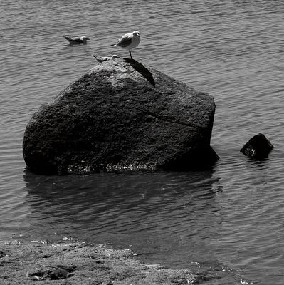 Taking a Rest