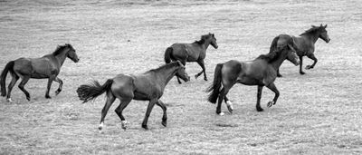 On the Move