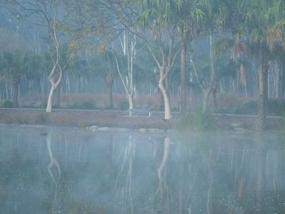 Misty Morning at Nurragingy Res