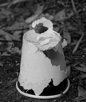 Coffee Cup Remains