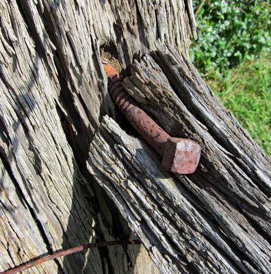 Decaying Fence