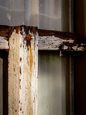 Rotten Pole