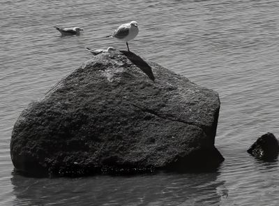 Taking a Rest