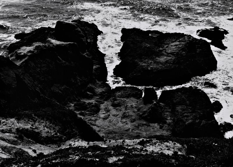 bodega_bay_2022_06_3b.jpg