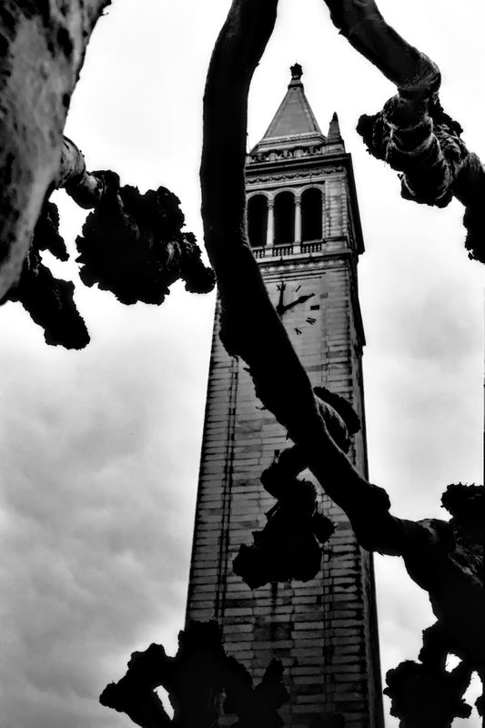 berkeley_sather_tower_2005_12_rt.jpg