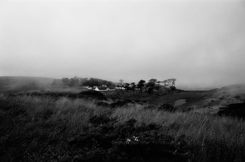 marin_point_reyes_pierce_ranch_2007_9_rt_tx_cu.jpg