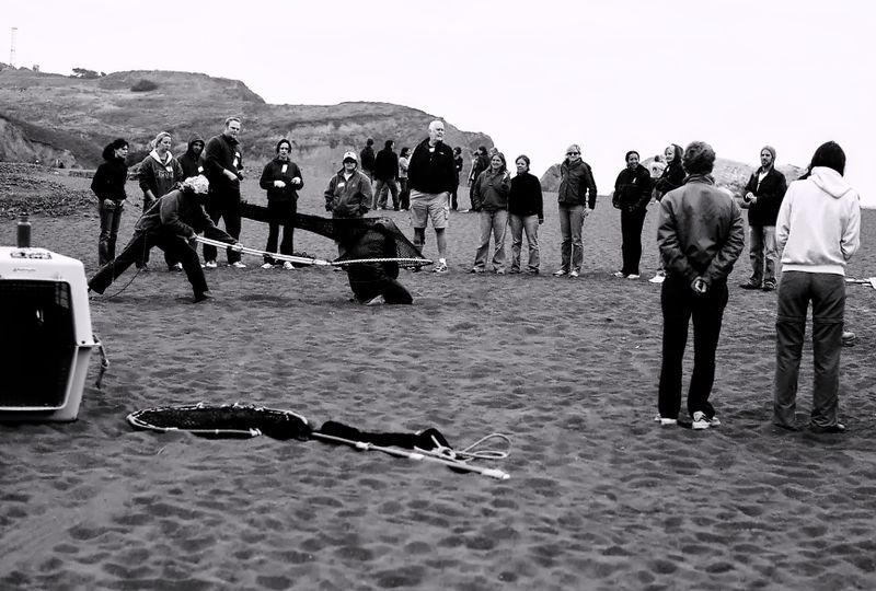 marin_training_2009_10_rt_tx.jpg