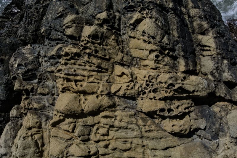 richmond_ferry_point_rocks_2024_06_rt_0999-2.jpg