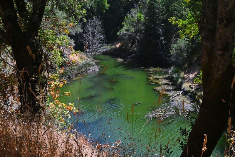 marin_lake_phoenix_082024_rt_3073.jpg