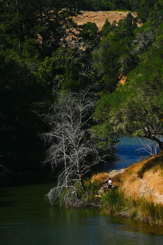 marin_lake_phoenix_082024_rt_3082.JPG