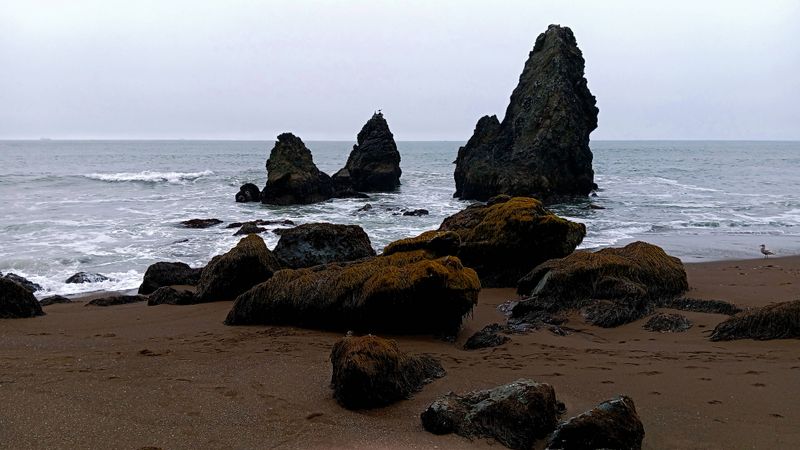 marin_rodeo_beach_052025_rt_141554.jpg