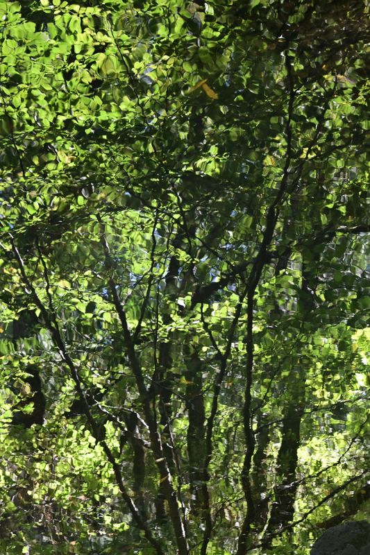 Marin County And