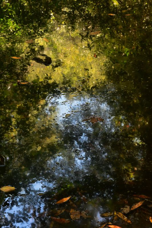 marin_lake_phoenix_082025_rt_4392.jpg