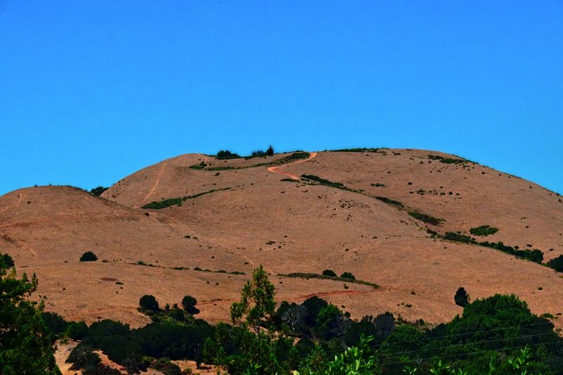marin_bald_hill_082025_rt_g_4497.jpg