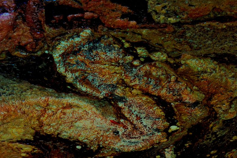 marin_creek_abstract_09182025_rt_8684.jpg