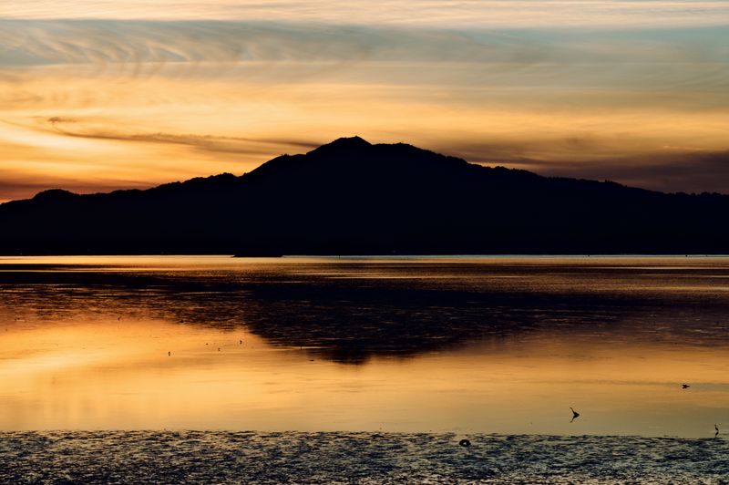 Richmond California And