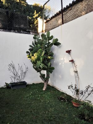 g13/05/676105/3/173321780.073337c0.JPEG