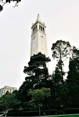 g13/05/676105/3/174280214.3624b905.JPEG