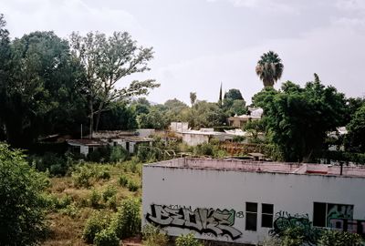 g13/05/676105/3/174320962.a74e4737.JPEG