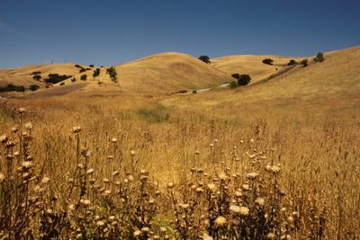 fairfield_hills_2018_6_rt_8832.jpg