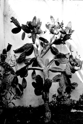 g13/05/676105/3/174352461.aa5d3e68.JPEG