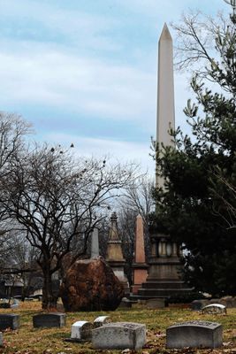 g13/05/676105/3/175135360.665c31f1.JPEG